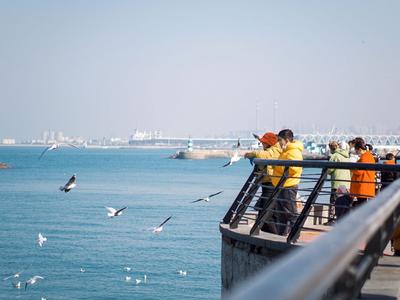 9年来重污染天数首次为零！1月份青岛空气质量优良率67.7%