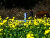 人勤春早，田间农忙