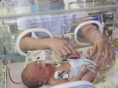 单身女性是否可以冻卵？国家卫健委：禁止给单身妇女实施人类辅助生殖技术