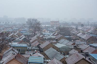 青岛今天真下雪了！肉眼可见的那种！