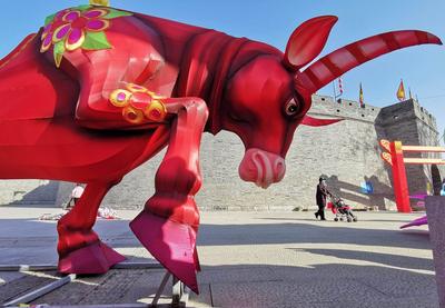 快来凑热闹！自贡“牛灯”登陆即墨古城啦