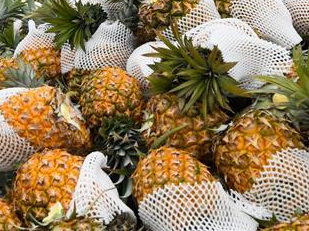 大陆暂停进口台湾菠萝，国台办：这是正常的生物安全防范举措