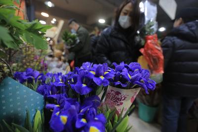 鲜花年货成“标配” 姹紫嫣红迎新春