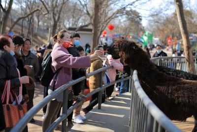 花样过春节 带娃儿去看动物卖萌