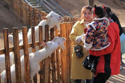 花样过春节 带娃儿去看动物卖萌