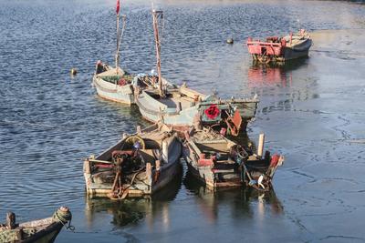 唐岛湾海水结冰，渔船与海冰相映成景
