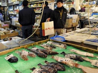 时隔两年，日本福岛附近海域再次发现超标“辐射鱼”