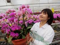 花贺新年 助推乡村振兴