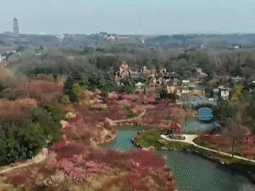 还没出正月就夏天了？多地气温突破“历史极值”！