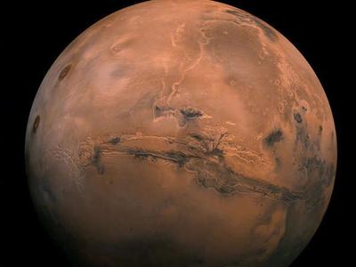 美德联合研究发现：地球上某些微生物可在火星暂时存活