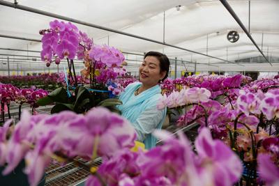 花贺新年 助推乡村振兴