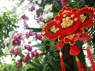 人民日报：感知春节“和”文化的力量