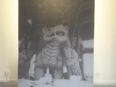 圆明园发布365张珍贵老照片！多数照片为首次向公众展示
