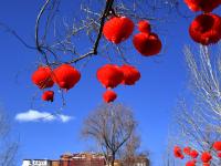 拉萨：迎接“双新年”