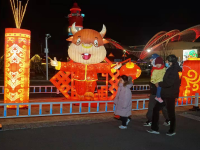 亮了亮了，新年花灯等你来看