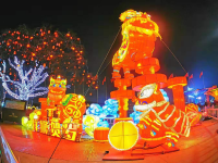 亮了亮了，新年花灯等你来看