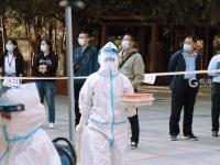 不平凡的2020㊺：摄影是一种有趣的生活方式