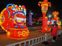 亮了亮了，新年花灯等你来看