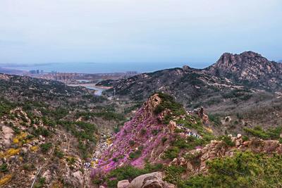 不平凡的2020㊺：摄影是一种有趣的生活方式