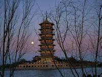 发现身边的美景丨美图周赏④