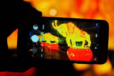 今天下雨了 回味一下过年的彩灯吧