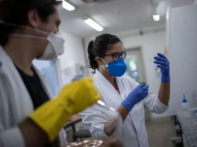 科学家在东南亚蝙蝠体内发现新冠相关的冠状病毒