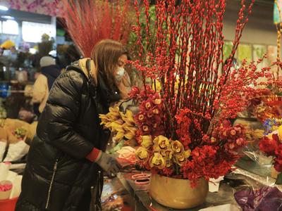 鲜花年货成“标配” 姹紫嫣红迎新春