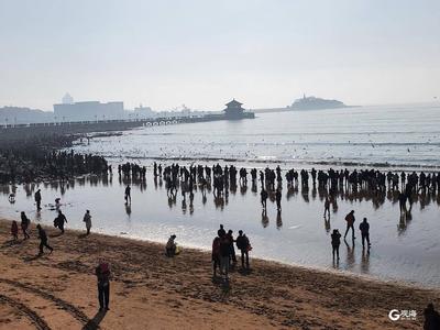 青岛沿海景点人气旺，免费公交运力服务“不打折”