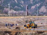 西海岸大场镇春耕：俯瞰田野整齐如刀刻