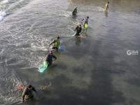 一捞一麻袋!青岛风河入海口现鲻鱼群 渔民乐了(多图)  