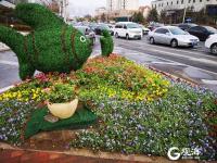 春回大地，青岛街头“穿花衣”