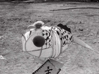 回忆杀！上世纪八十年代“闹元宵”老照片|城市影像档案