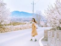 开往春天的地铁 | 庙石站，春日写真小众取景地！