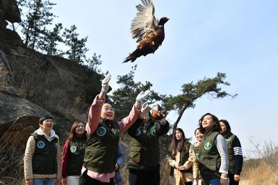 放飞救助鸟类、栽种崂山百合…这样过妇女节，香不香