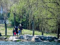 听！是花开的声音！丨观海美图周赏⑧