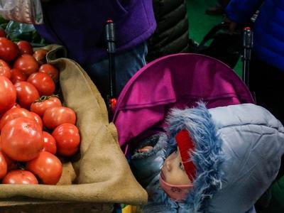 来自春天的光影丨观海美图周赏⑥