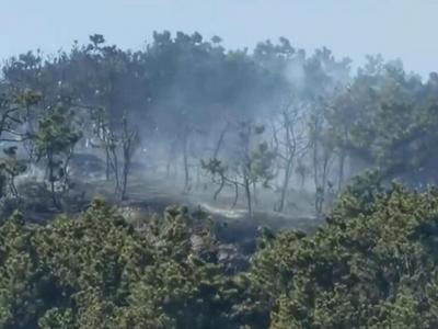 青岛西海岸新区一山头发生山火，经全力扑救明火已灭