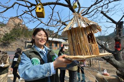 放飞救助鸟类、栽种崂山百合…这样过妇女节，香不香