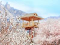 开往春天的地铁 | 庙石站，春日写真小众取景地！