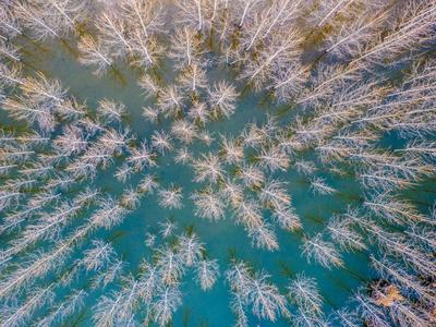 来自春天的光影丨观海美图周赏⑥