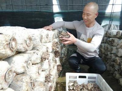 省内唯一！青岛这家企业获中国种子AAA信用企业