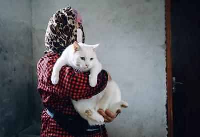 倾尽全力给“小流浪”们一个家！崂山脚下藏了个不一般的小院