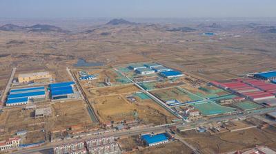 青岛这个世界500强企业项目迎来新进展：今年底投用厂房，建设现场不乏“她力量”