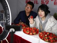 “草莓书记”开启直播带货 助力乡村振兴 