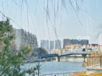 春风拂面万物苏丨观海美图周赏⑦