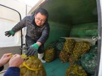 红岛渔港蛤蜊海螺毛蚶大量上市，肉肥味美