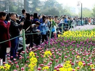 文旅部发布清明节假期出游提醒：抵制不合理低价游