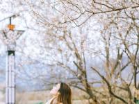 开往春天的地铁 | 庙石站，春日写真小众取景地！