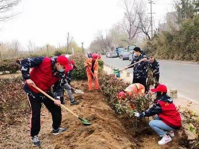 水清岸绿！李村河南岸增绿500平方米