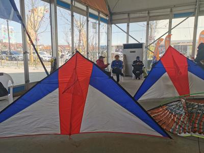 回放 | 100米长的“龙串”风筝啥样？青岛风筝高手炫技啤酒城！